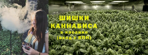 гашик Лихославль