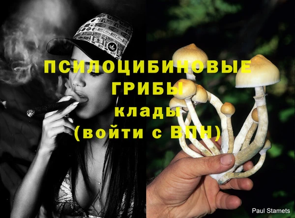 прущие грибы Майский