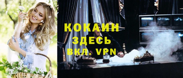сатива Магадан