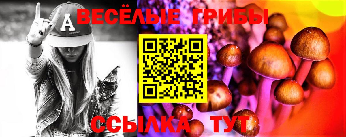 Псилоцибиновые грибы ЛСД  Рассказово 