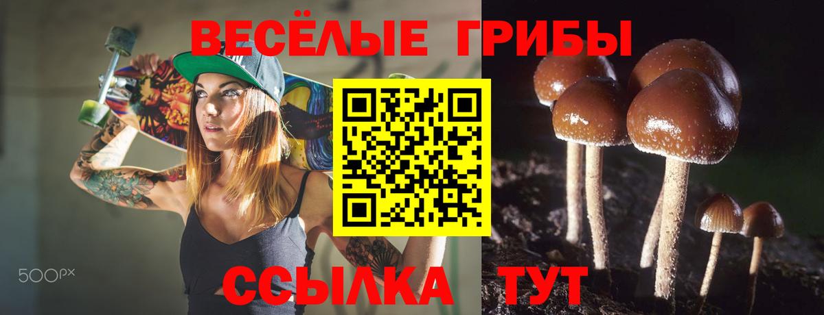 Галлюциногенные грибы мицелий Рассказово