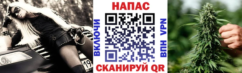 мориарти клад  Рассказово  Канабис сатива 